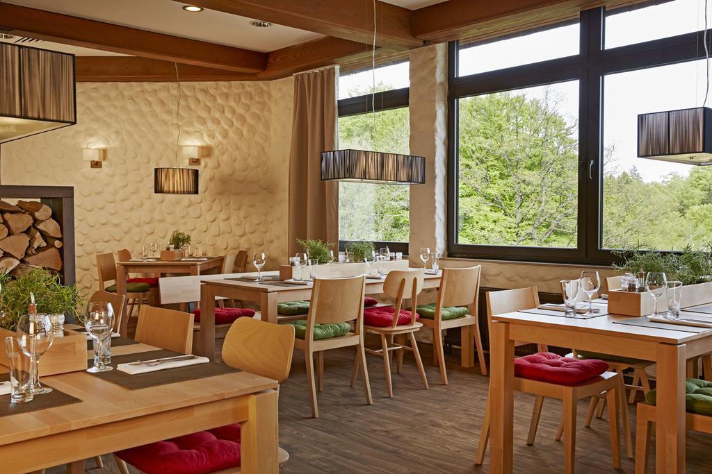 H+ Hotel Willingen Willingen  Exterior photo