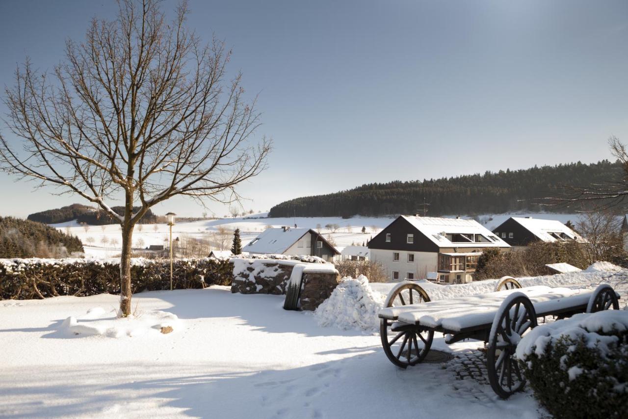 H+ Hotel Willingen Willingen  Exterior photo